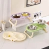 Stainless steel cat food bowl, cat bowl, pet bowl, cervical vertebrae protection, high legs, folding double bowl, drinking and feeding integrated details Picture
